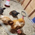 Please help me figure out what this is