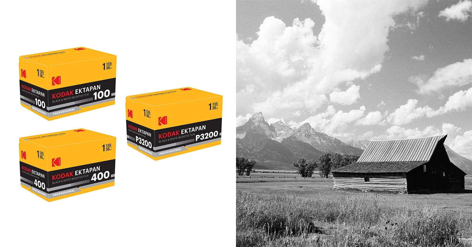 Kodak Revives the Ektapan Name for Three ‘New’ Black and White Films