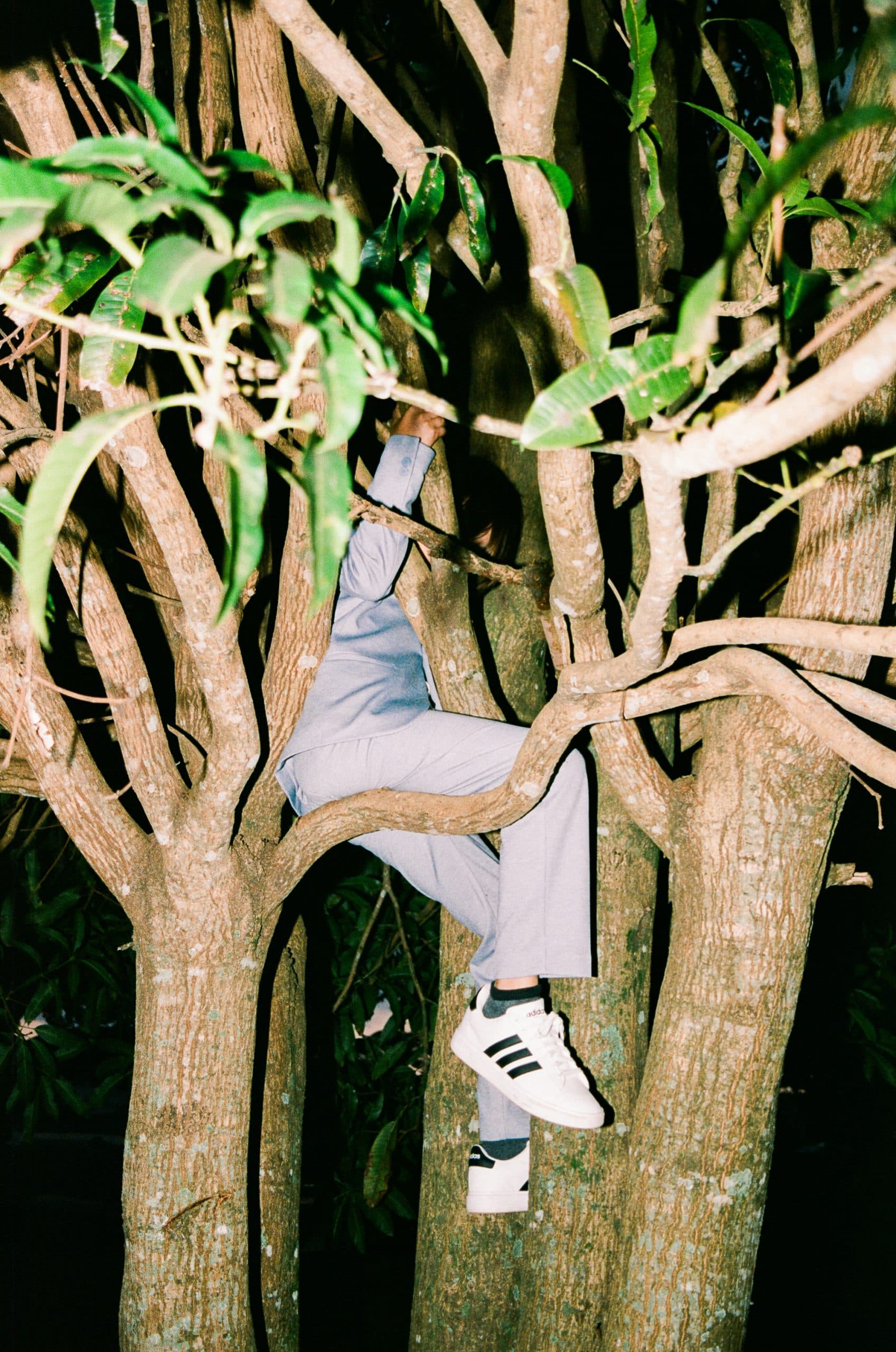 The Quiet Revolution of Photographers Choosing Analog Over AI