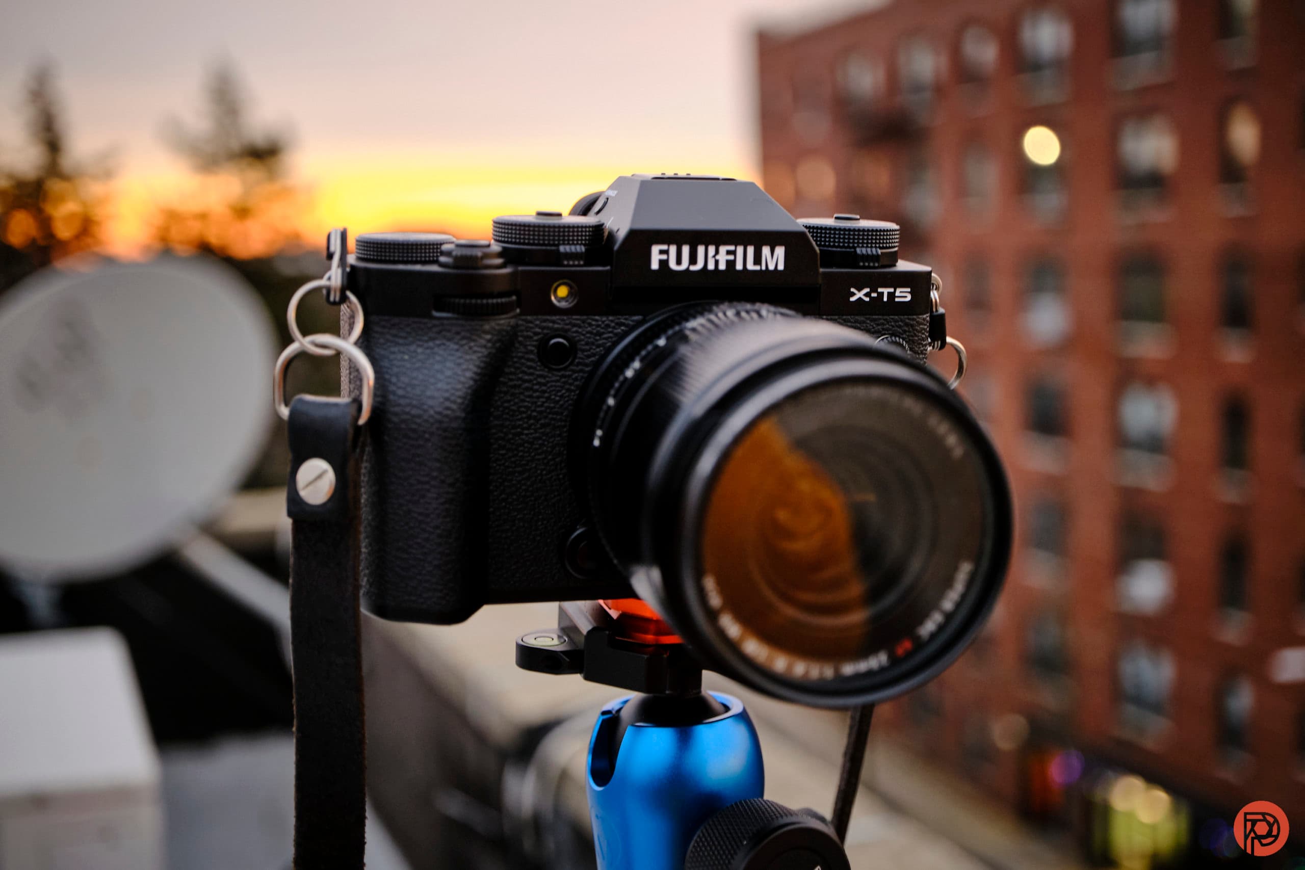 The Best APS-C Cameras for Portrait Photography (There Are Only 2)